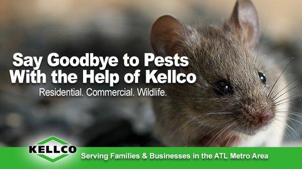 Kellco Termite & Pest Control
