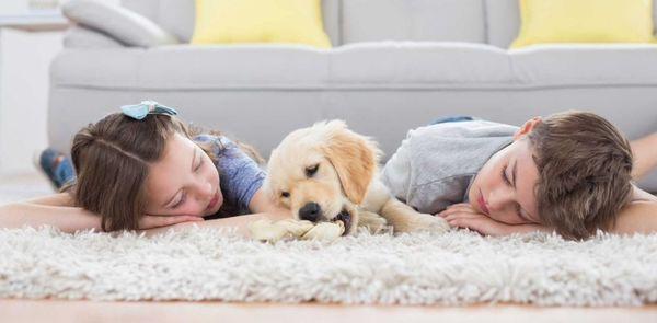 We offer pet friendly services. We will always make certain that our cleaning products are safe for your mascots.