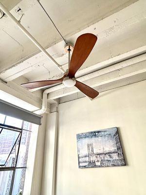 Bedroom Ceiling Fan/Light