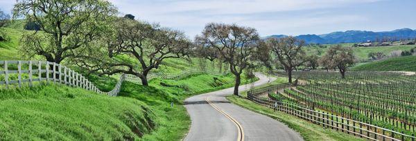 JACK CLARK INSURANCE SERVICES