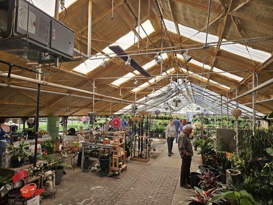 Jackson's Greenhouse