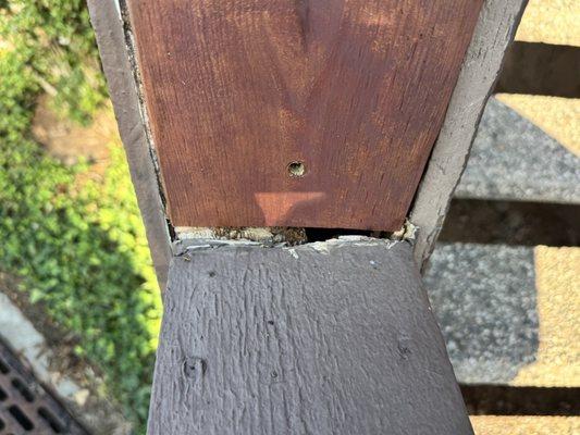 Diversified Real Property Management