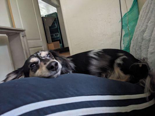 Thank you for saving my life!!!!!!