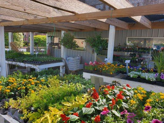Feed & Seed Depot