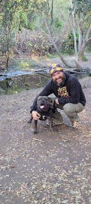 One of A Kind Bulldogs