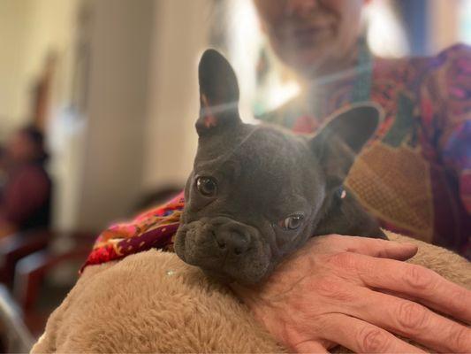 Birdies first vet appointment!