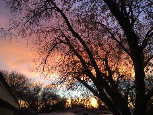 Once there were nice big trees on my lot.
 
 They didn't even bother talking to me before cutting them down.
 
 Oh yea, they care... NOT!