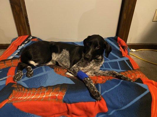 Tri County Animal Clinic Inc