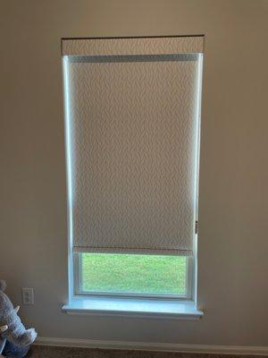 The Shady Lady Window Coverings