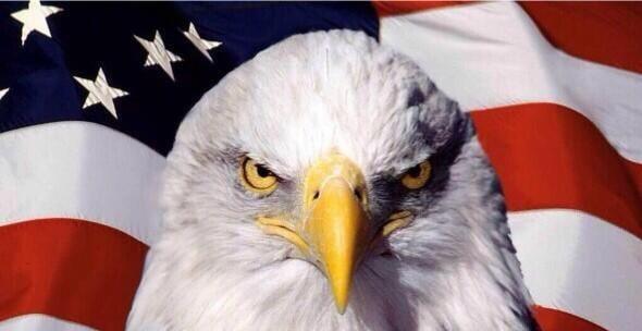 American Contracting