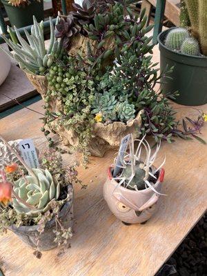 Yaquina Nursery & Greenhouse