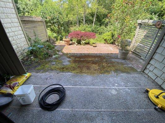 Moss-covered and slippery.