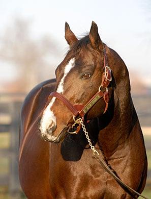 Sterling Farm WV LLC