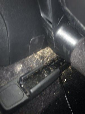 Everclean Car Wash