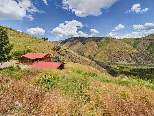 United County- Musick & Sons Auction & Real Estate