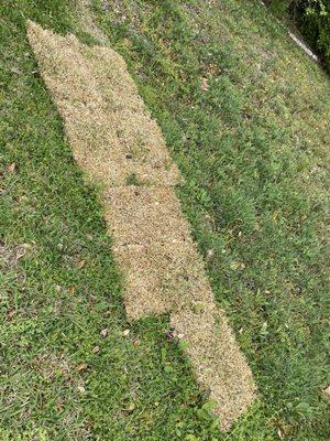 .A-1 Grass Sand & Stone