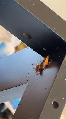 Mount Clef Apartments