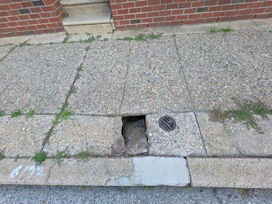 Marcello Family Concrete