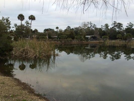 Econfina River Resort