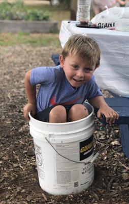 This cute little spud in a bucket of potatoes:-)