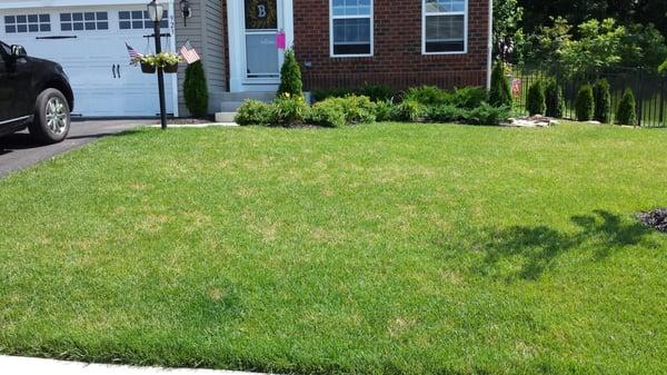 Grossman's Lawn Service