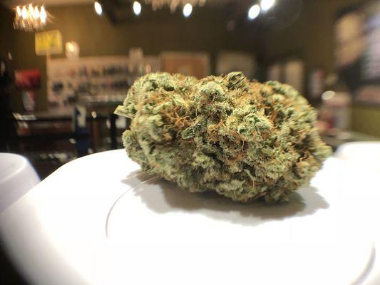 Banana Hammock Sativa