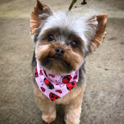 Happy Valentines Day!