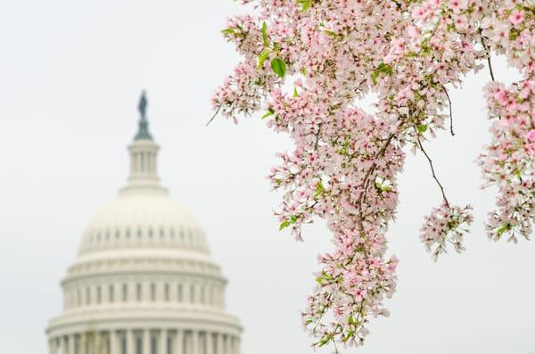 Aria Consulting Services