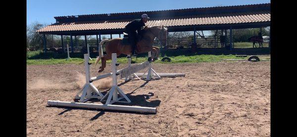 Dusty being ridden by his owner and trainer Lucas.