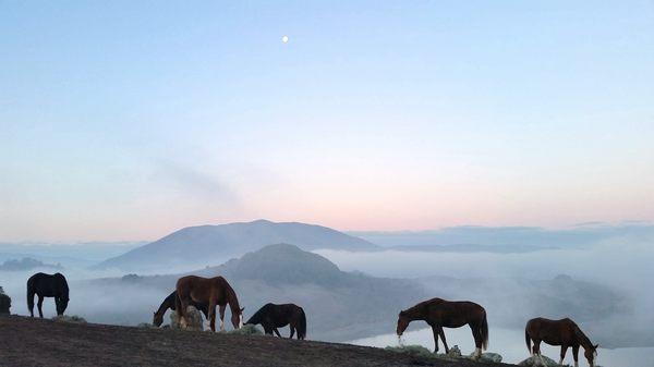 living on "Cloud 10" as a guest renamed Danehill Manor