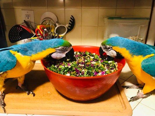 Sprouts Farmers Market