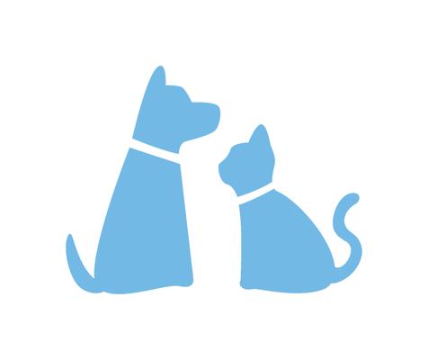 Urban Tailz In the Loop