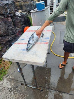 Silky Fishing Charter