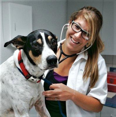 Walk-In Veterinary Care