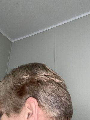 This is what I got for a crappy cut nothing like the photo