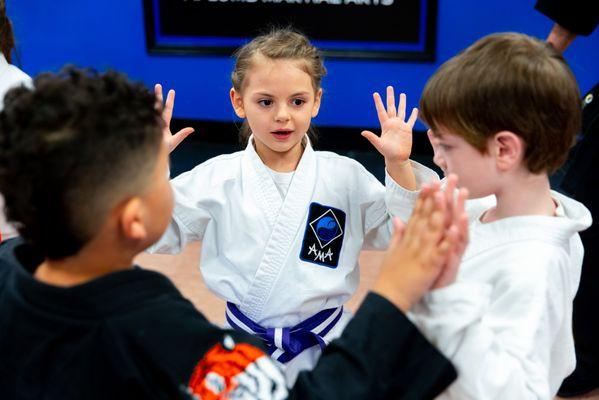 Aplomb Martial Arts- Liberty