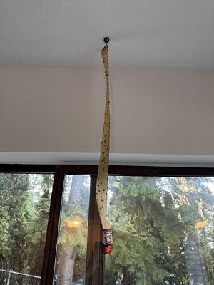 Foreground Property Management