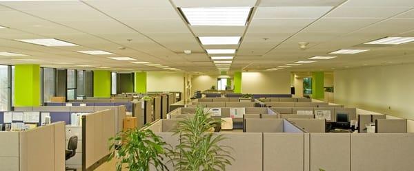 JeanAnne's Cleaning Services