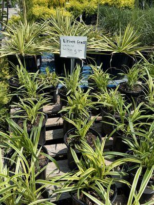 Bullards Landscape Nursery