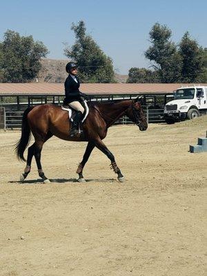 Showcase Training Stables