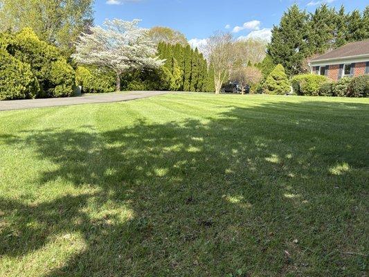 Wayne’s Landscaping