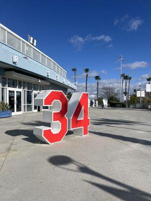Dodgers Official Team Store