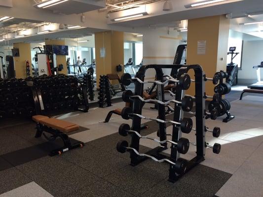 Life Start Wellness Center