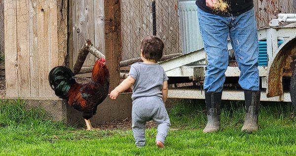 Amazing Discoveries Daycare