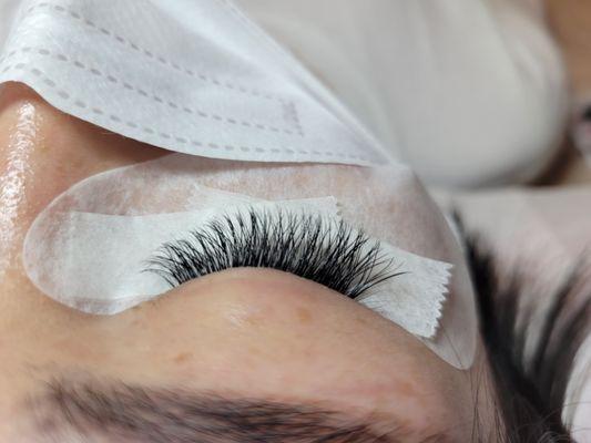 Y mink lash#Flat mink #eyelash #eyelashextension
#lashes #lashartist