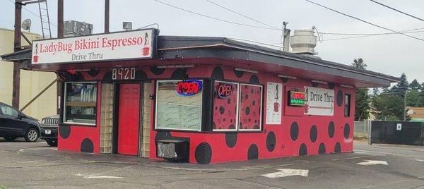 LadyBug Bikini Espresso drive-thru coffee bar