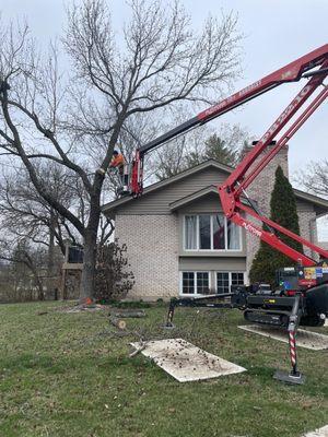 Complete Tree Service of St Louis
