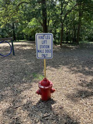 Blue Springs Dog Park