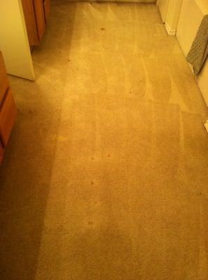 Hair dye stains didn't come out, but carpet cleaning was ok. Not great, but decent.