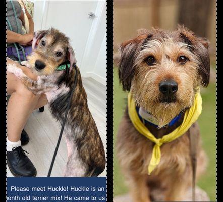 The Labelle Foundation